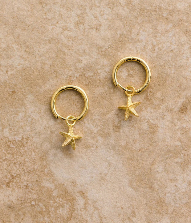 Indigo-and-Wolfe-Starfish-Earrings